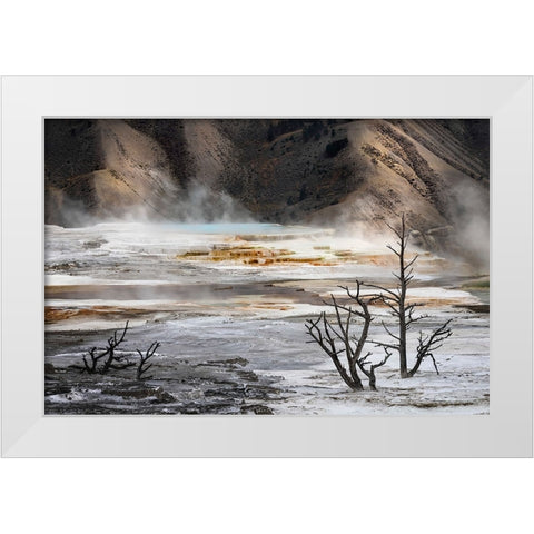 Black tree trunks and colorful hot spring terrace-Canary Spring-Mammoth Hot Springs White Modern Wood Framed Art Print by Jones, Adam