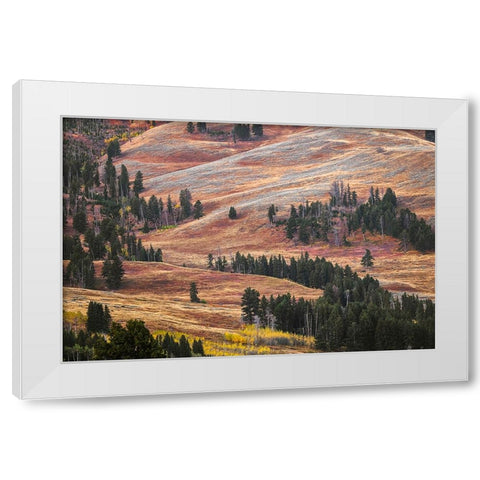 Rolling hills in colorful autumn display-Lamar Valley-Yellowstone National Park-Wyoming White Modern Wood Framed Art Print by Jones, Adam