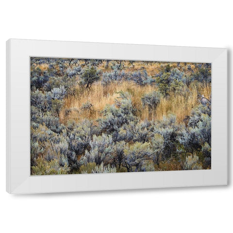 Mountain big sagebrush-Yellowstone National Park-Wyoming White Modern Wood Framed Art Print by Jones, Adam