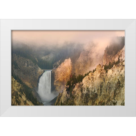 Lower Falls at sunrise from Artist Point-Yellowstone National Park-Wyoming White Modern Wood Framed Art Print by Jones, Adam