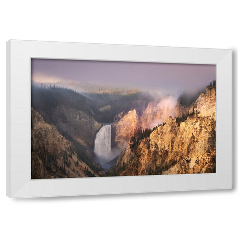 Lower Falls at sunrise from Artist Point-Yellowstone National Park-Wyoming White Modern Wood Framed Art Print by Jones, Adam