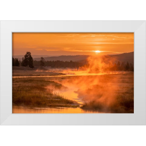 Madison River at sunrise-Yellowstone National Park-Wyoming White Modern Wood Framed Art Print by Jones, Adam