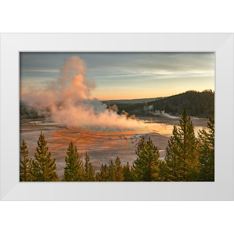 Elevated sunrise view of Grand Prismatic spring and colorful bacterial mat-Yellowstone National Park White Modern Wood Framed Art Print by Jones, Adam