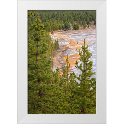 Elevated view of runoff water and bacterial mat-Grand Prismatic spring White Modern Wood Framed Art Print by Jones, Adam