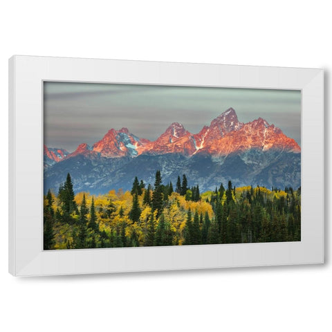 Autumn view of Teton Range at sunrise-Grand Teton National Park-Wyoming White Modern Wood Framed Art Print by Jones, Adam