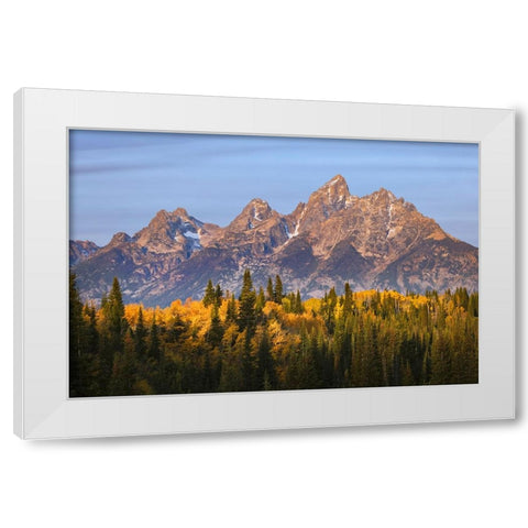 Autumn view of Teton Range at sunrise-Grand Teton National Park-Wyoming White Modern Wood Framed Art Print by Jones, Adam