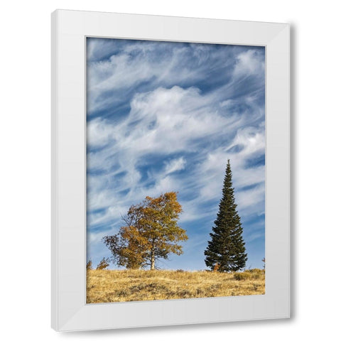 Two trees on ridge and cloud formation-Grand Teton National Park-Wyoming White Modern Wood Framed Art Print by Jones, Adam