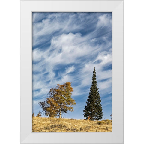Two trees on ridge and cloud formation-Grand Teton National Park-Wyoming White Modern Wood Framed Art Print by Jones, Adam