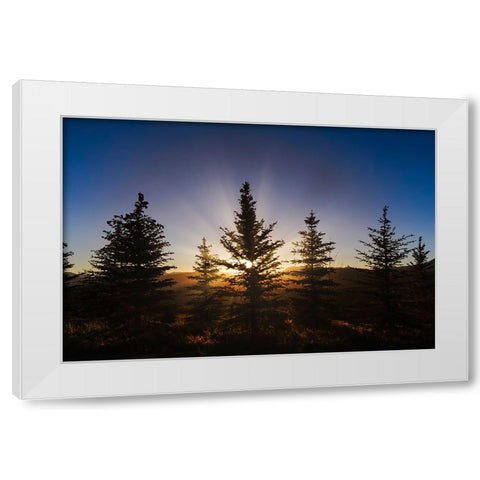 Pine trees silhouetted at sunset-Grand Teton National Park-Wyoming White Modern Wood Framed Art Print by Jones, Adam