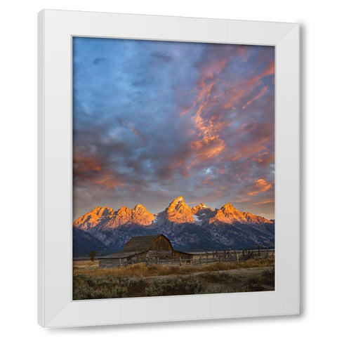 Historical Moulton barn at sunrise-Grand Teton National Park-Wyoming White Modern Wood Framed Art Print by Jones, Adam