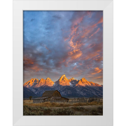 Historical Moulton barn at sunrise-Grand Teton National Park-Wyoming White Modern Wood Framed Art Print by Jones, Adam
