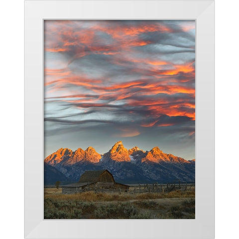 Historical Moulton barn at sunrise-Grand Teton National Park-Wyoming White Modern Wood Framed Art Print by Jones, Adam