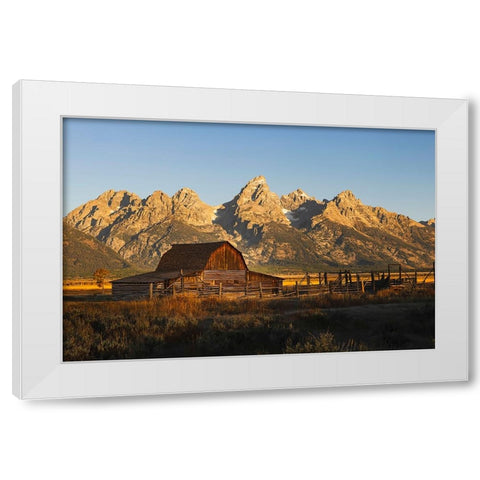 Historical Moulton barn at sunrise-Grand Teton National Park-Wyoming White Modern Wood Framed Art Print by Jones, Adam
