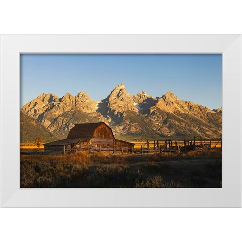 Historical Moulton barn at sunrise-Grand Teton National Park-Wyoming White Modern Wood Framed Art Print by Jones, Adam