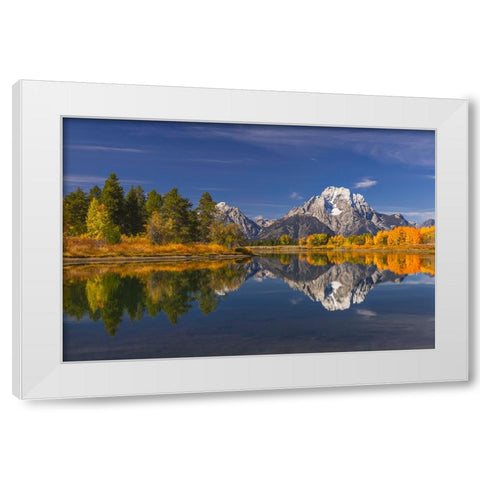 Autumn view of Mount Moran and Snake River-Grand Teton National Park-Wyoming White Modern Wood Framed Art Print by Jones, Adam