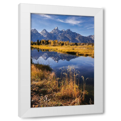 Teton Range from Schwabacher Landing-Grand Teton National Park-Wyoming White Modern Wood Framed Art Print by Jones, Adam
