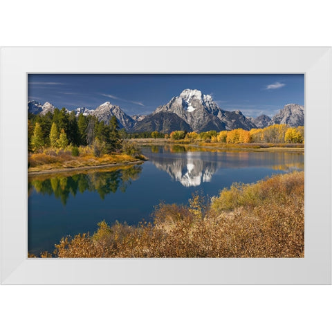 Autumn view of Mount Moran and Snake River-Grand Teton National Park-Wyoming White Modern Wood Framed Art Print by Jones, Adam