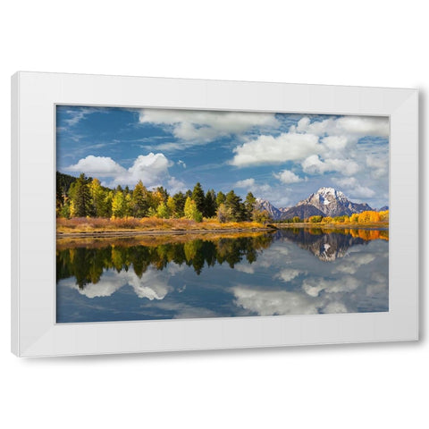 Autumn view of Mount Moran and Snake River-Grand Teton National Park-Wyoming White Modern Wood Framed Art Print by Jones, Adam