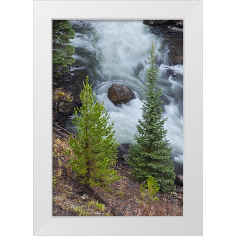 Flowing water in Firehole River-Yellowstone National Park-Wyoming White Modern Wood Framed Art Print by Jones, Adam