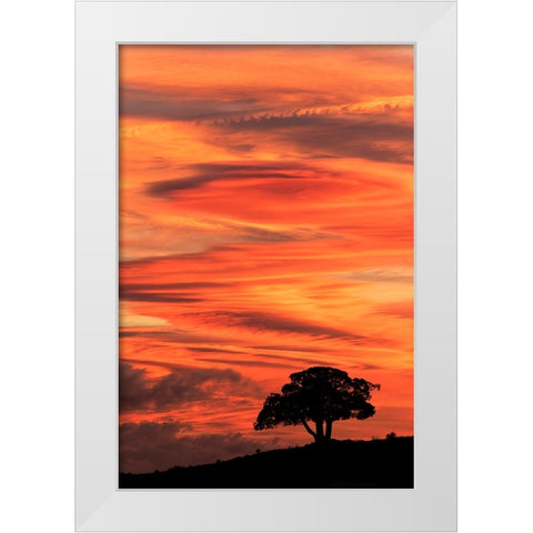 Single tree silhouetted at sunrise-Yellowstone National Park-Wyoming White Modern Wood Framed Art Print by Jones, Adam