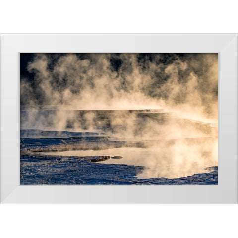 Canary Spring and steaming mist at sunrise-Mammoth Hot Springs-Yellowstone National Park-Wyoming White Modern Wood Framed Art Print by Jones, Adam