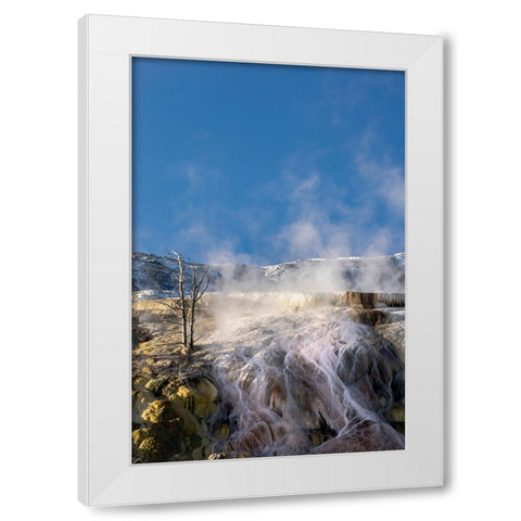Colorful travertine slope with yellow and brown cyanobacteria-Mammoth Hot Springs White Modern Wood Framed Art Print by Jones, Adam