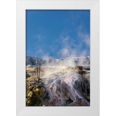 Colorful travertine slope with yellow and brown cyanobacteria-Mammoth Hot Springs White Modern Wood Framed Art Print by Jones, Adam