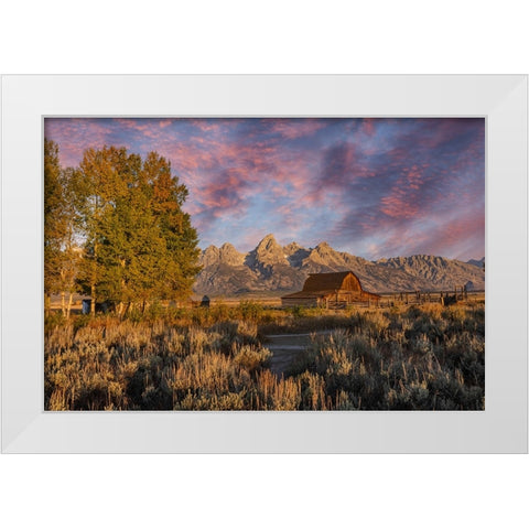 Moulton barn at sunrise and Teton Range-Grand Teton National Park-Wyoming White Modern Wood Framed Art Print by Jones, Adam