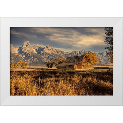 Moulton barn at sunrise and Teton Range-Grand Teton National Park-Wyoming White Modern Wood Framed Art Print by Jones, Adam