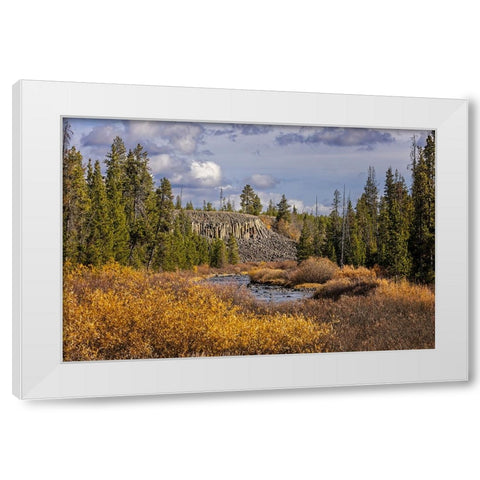 Columnar basalt formation at Sheepeater Cliffs-Yellowstone National Park-Wyoming White Modern Wood Framed Art Print by Jones, Adam
