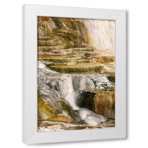 Canary Spring terraces at sunrise-Mammoth Hot Springs-Yellowstone National Park-Wyoming White Modern Wood Framed Art Print by Jones, Adam