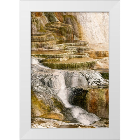 Canary Spring terraces at sunrise-Mammoth Hot Springs-Yellowstone National Park-Wyoming White Modern Wood Framed Art Print by Jones, Adam
