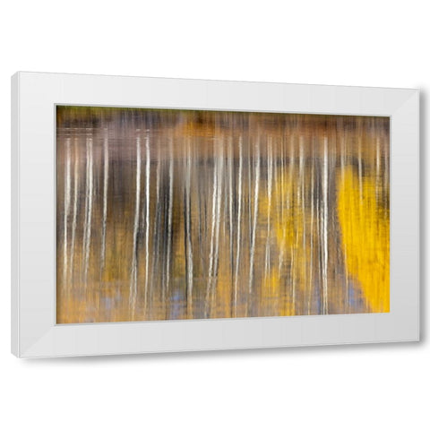 Autumn aspens abstract reflection at Oxbow Bend-Grand Teton National Park-Wyoming White Modern Wood Framed Art Print by Jones, Adam