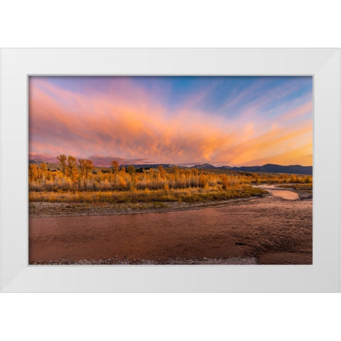 Golden cottonwood and aspen trees at sunset Gros Ventre River-Grand Teton National Park-Wyoming White Modern Wood Framed Art Print by Jones, Adam