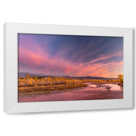 Golden cottonwood and aspen trees at sunset Gros Ventre River-Grand Teton National Park-Wyoming White Modern Wood Framed Art Print by Jones, Adam
