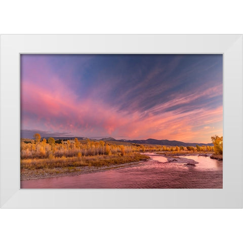 Golden cottonwood and aspen trees at sunset Gros Ventre River-Grand Teton National Park-Wyoming White Modern Wood Framed Art Print by Jones, Adam