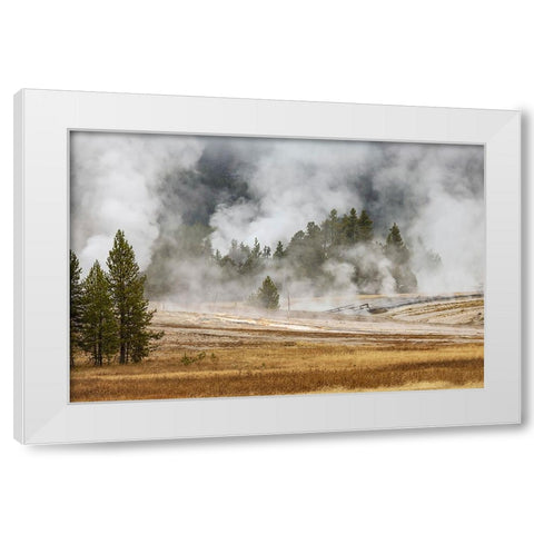 Grasses and mist in autumn meadow-Upper Geyser Basin-Yellowstone National Park-Wyoming White Modern Wood Framed Art Print by Jones, Adam