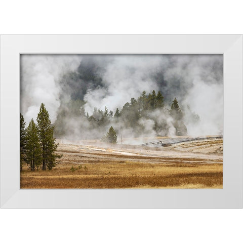 Grasses and mist in autumn meadow-Upper Geyser Basin-Yellowstone National Park-Wyoming White Modern Wood Framed Art Print by Jones, Adam