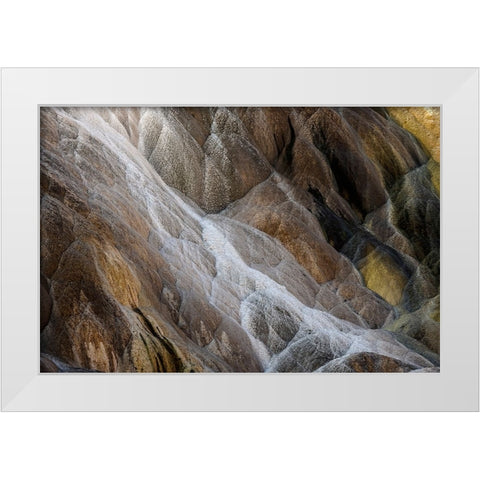 Colorful travertine slope with yellow and brown cyanobacteria-Mammoth Hot Springs White Modern Wood Framed Art Print by Jones, Adam