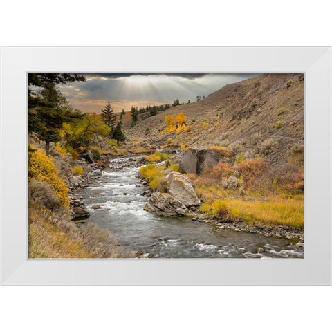 Gardiner River-Yellowstone National Park-Wyoming White Modern Wood Framed Art Print by Jones, Adam