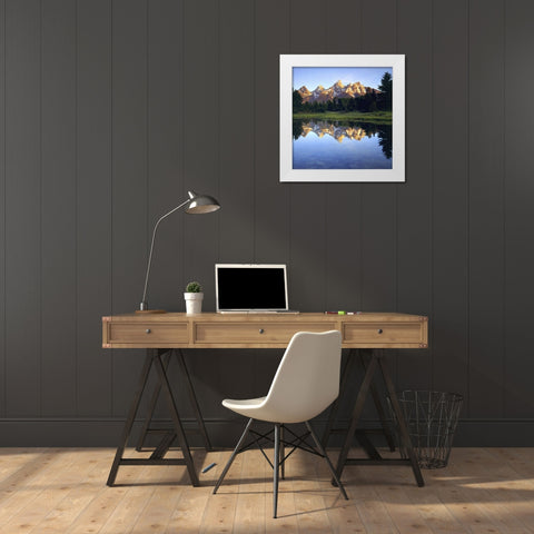 WY, Grand Tetons reflect in the Snake River White Modern Wood Framed Art Print by Talbot Frank, Christopher