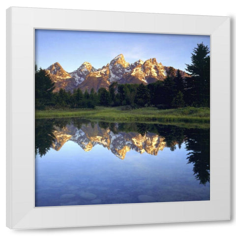 WY, Grand Tetons reflect in the Snake River White Modern Wood Framed Art Print by Talbot Frank, Christopher