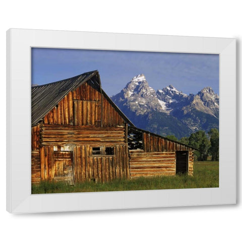 WY, Grand Tetons A weathered wooden barn White Modern Wood Framed Art Print by Flaherty, Dennis