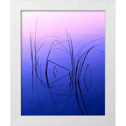 WY, Grand Tetons Reeds in a shallow pond White Modern Wood Framed Art Print by Kelley, David
