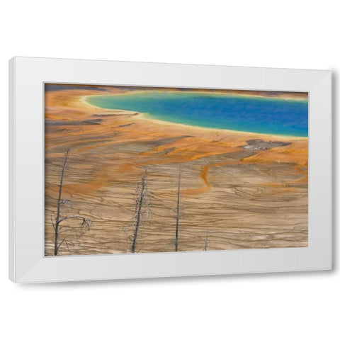 WY, Yellowstone Colorful Grand Prismatic Spring White Modern Wood Framed Art Print by Paulson, Don