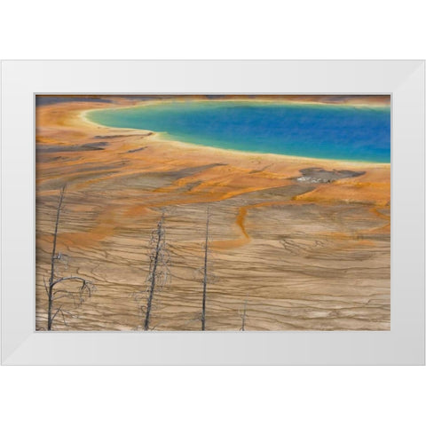 WY, Yellowstone Colorful Grand Prismatic Spring White Modern Wood Framed Art Print by Paulson, Don