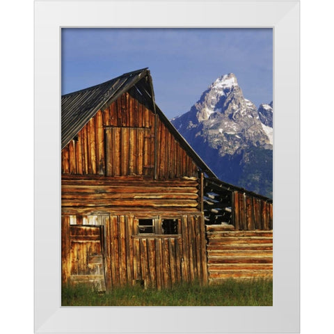 WY, Grand Tetons Dilapidated barn by Mormon Row White Modern Wood Framed Art Print by Flaherty, Dennis