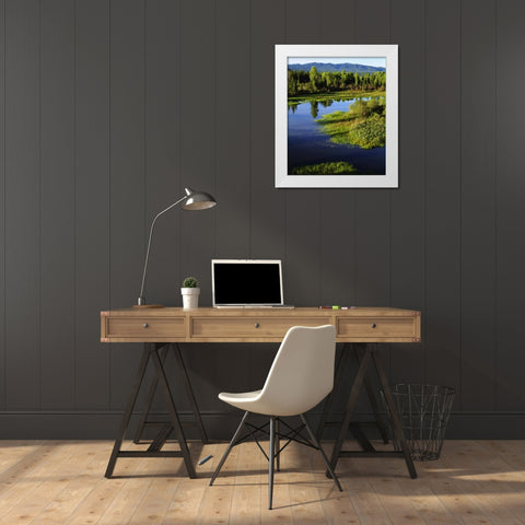WY, Grand Tetons A Meadow in the Grand Tetons White Modern Wood Framed Art Print by Talbot Frank, Christopher