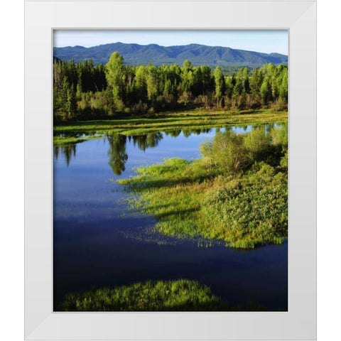 WY, Grand Tetons A Meadow in the Grand Tetons White Modern Wood Framed Art Print by Talbot Frank, Christopher