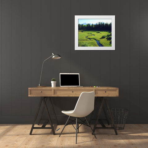 WY, Grand Tetons Grand Tetons and a lush meadow White Modern Wood Framed Art Print by Talbot Frank, Christopher